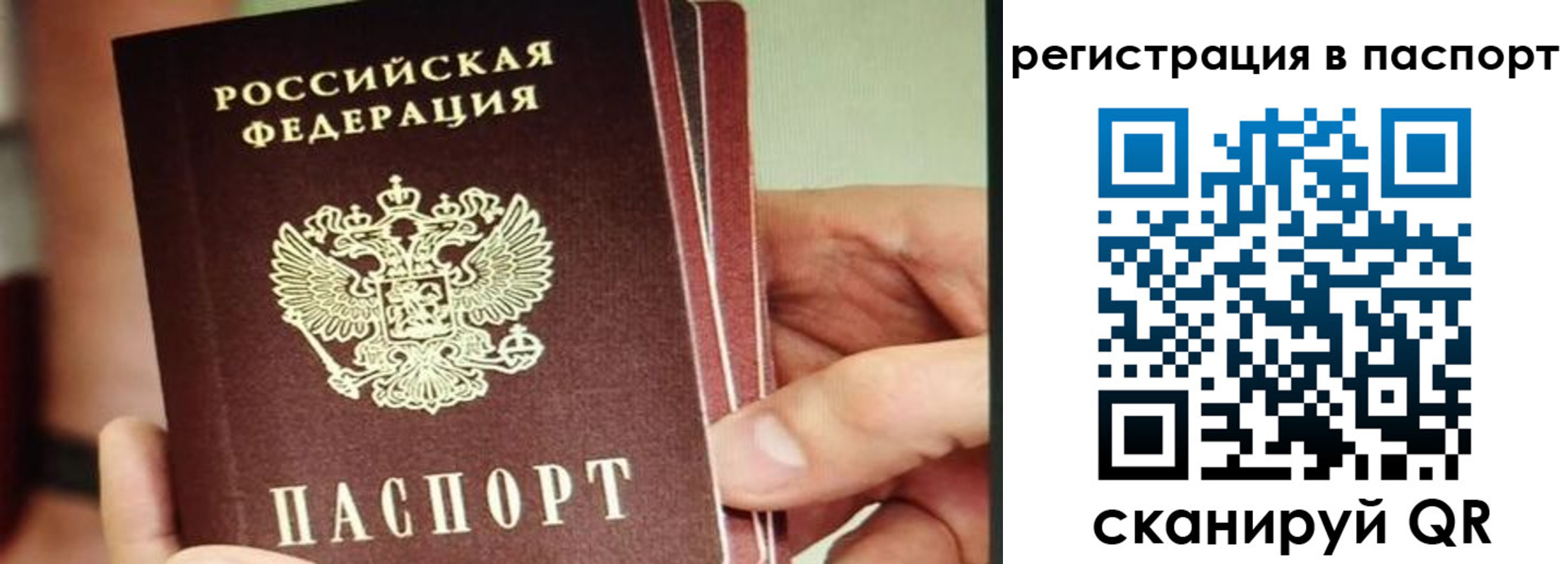 временная регистрация надежно в Твери
